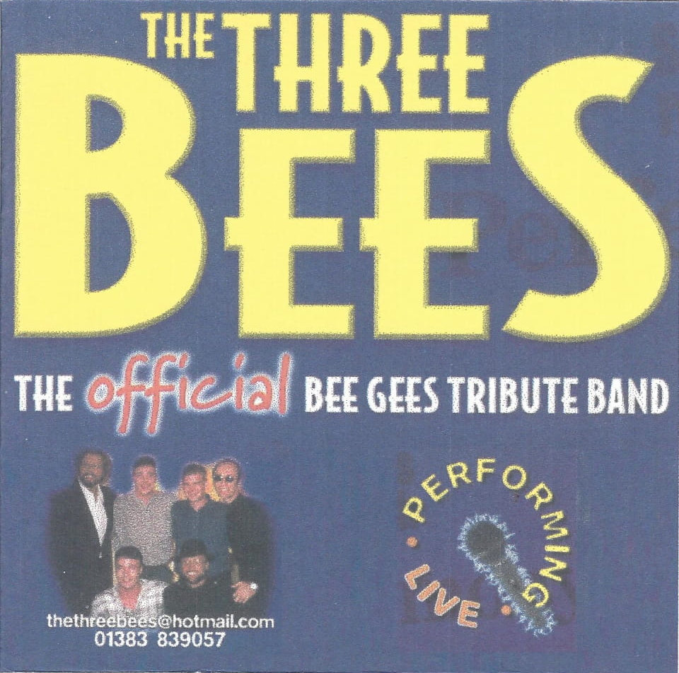 Picture of The Three Bees, a Bee Gees tribute band